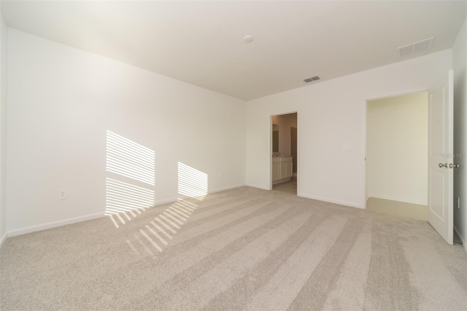 Image 8 of 15 For 386 Puma Loop