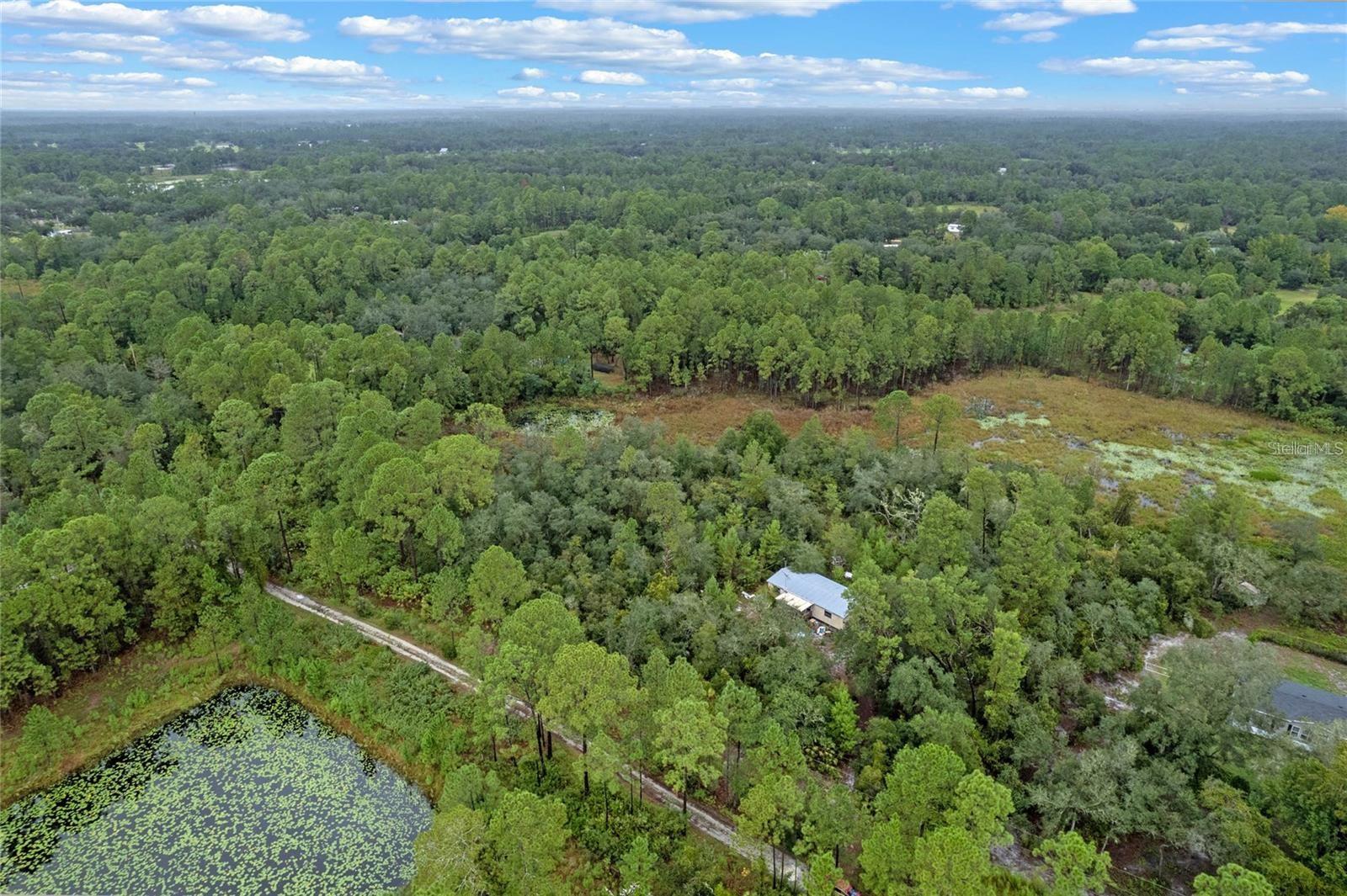 Image 3 of 13 For 32745 Blackwater Oaks Drive