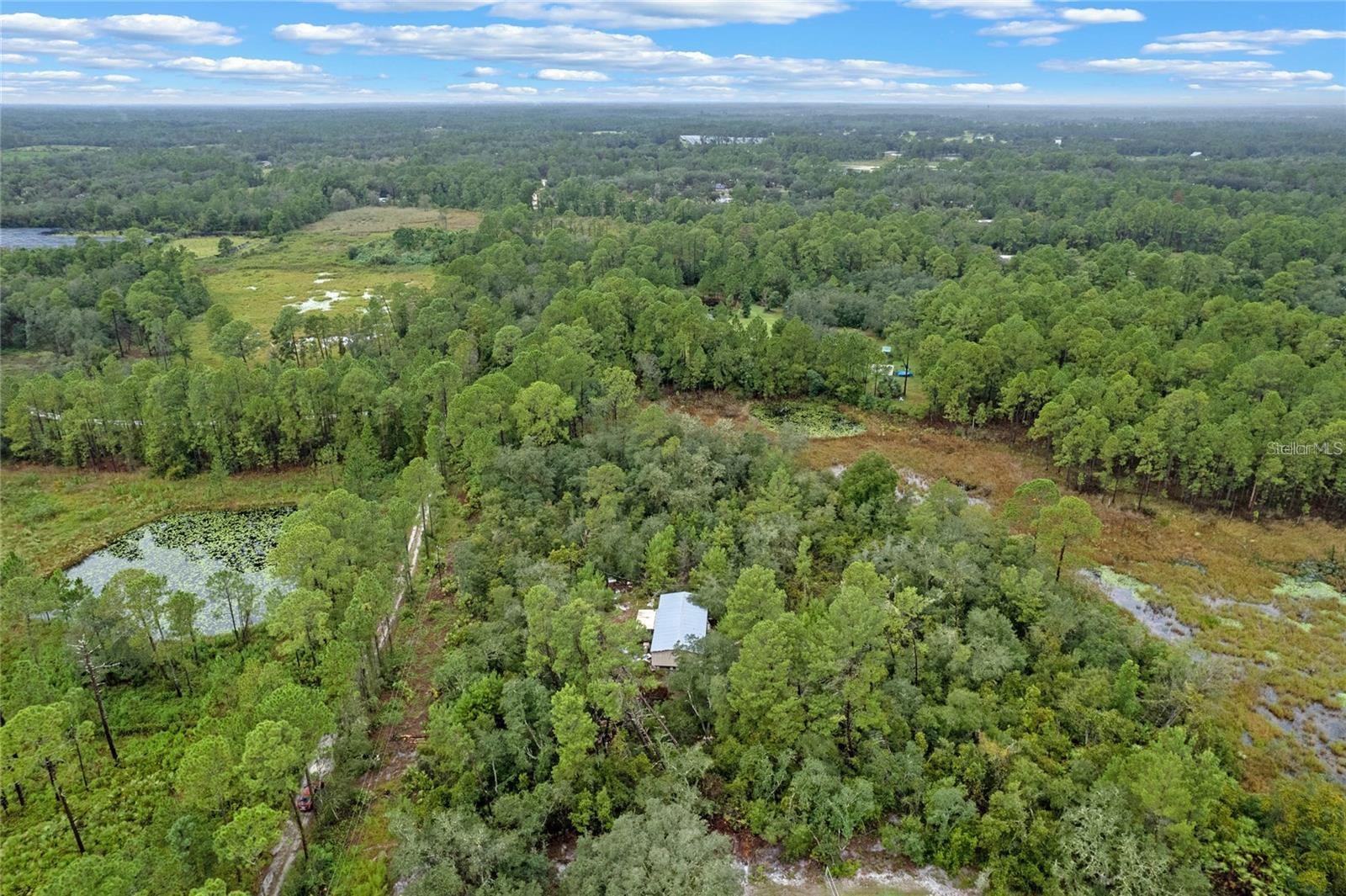 Image 7 of 13 For 32745 Blackwater Oaks Drive