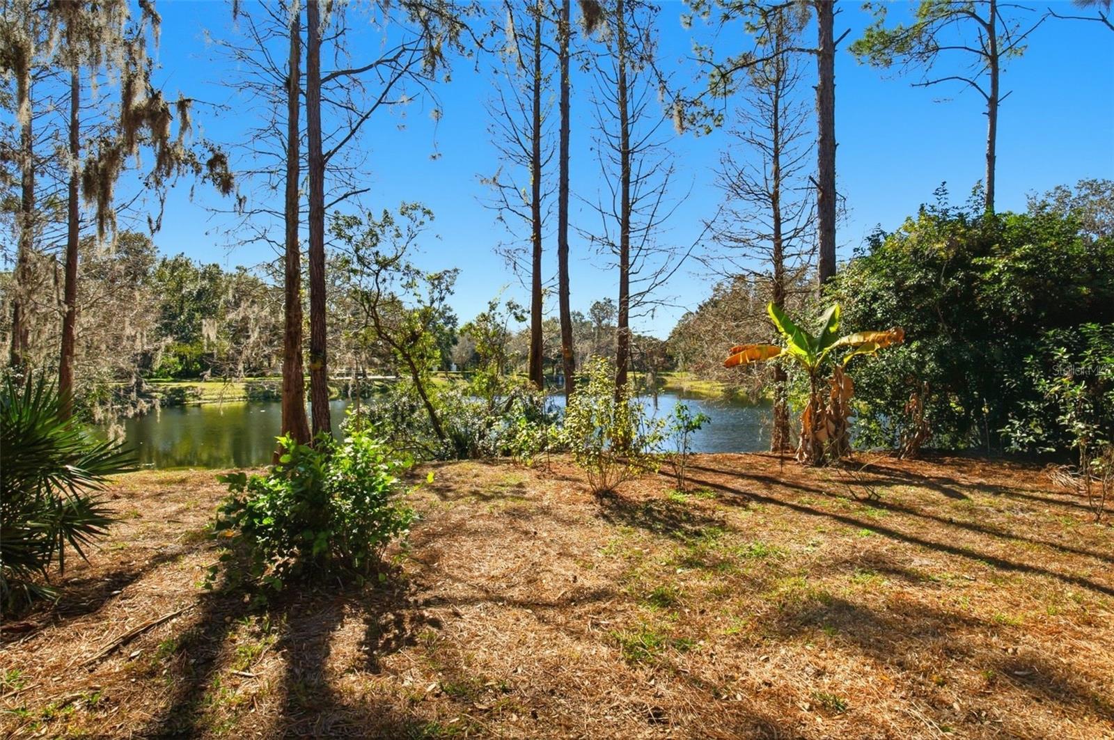 Image 47 of 50 For 6219 Gannetdale Drive