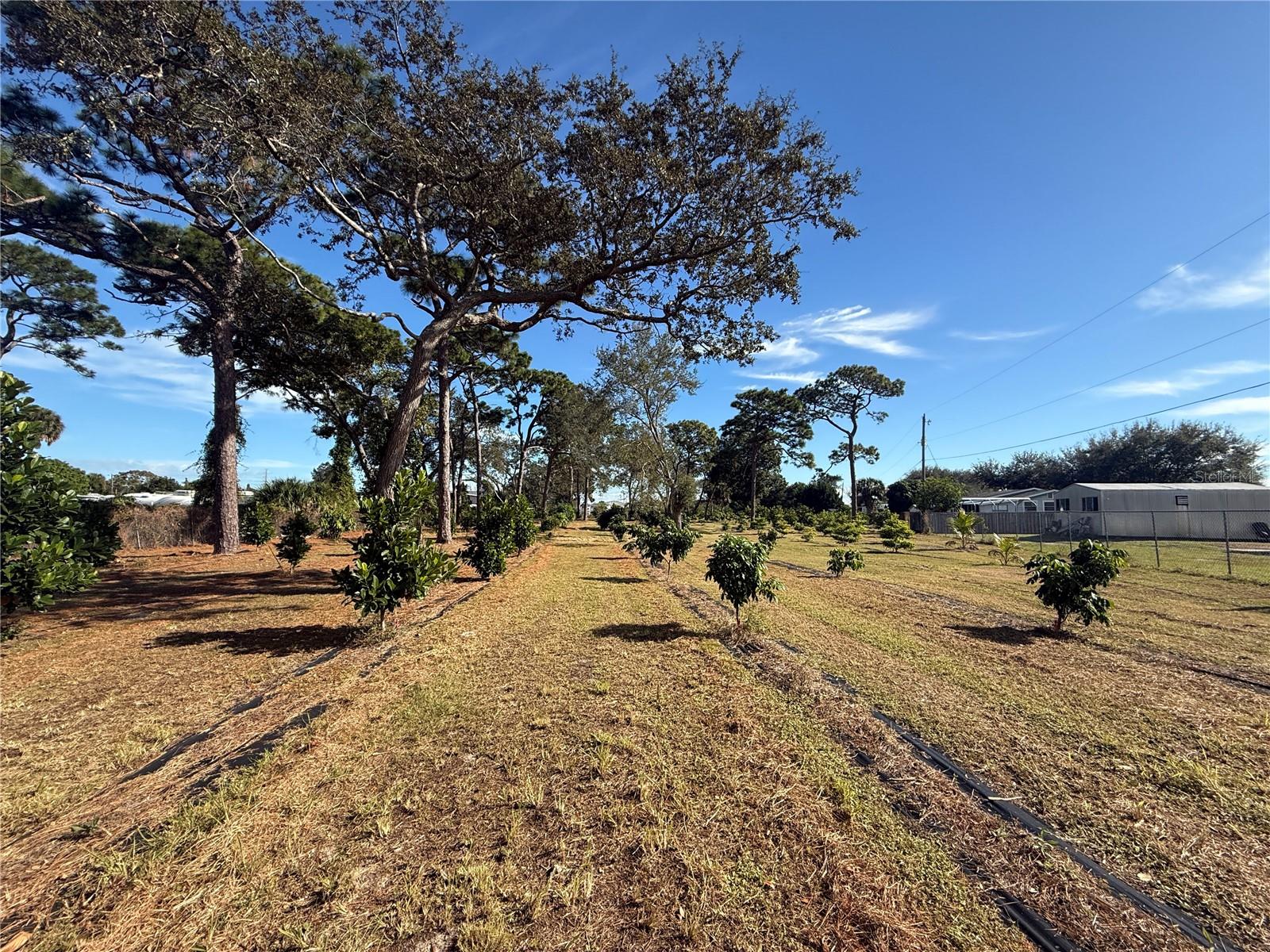 Image 20 of 47 For 4106 Us Highway 1