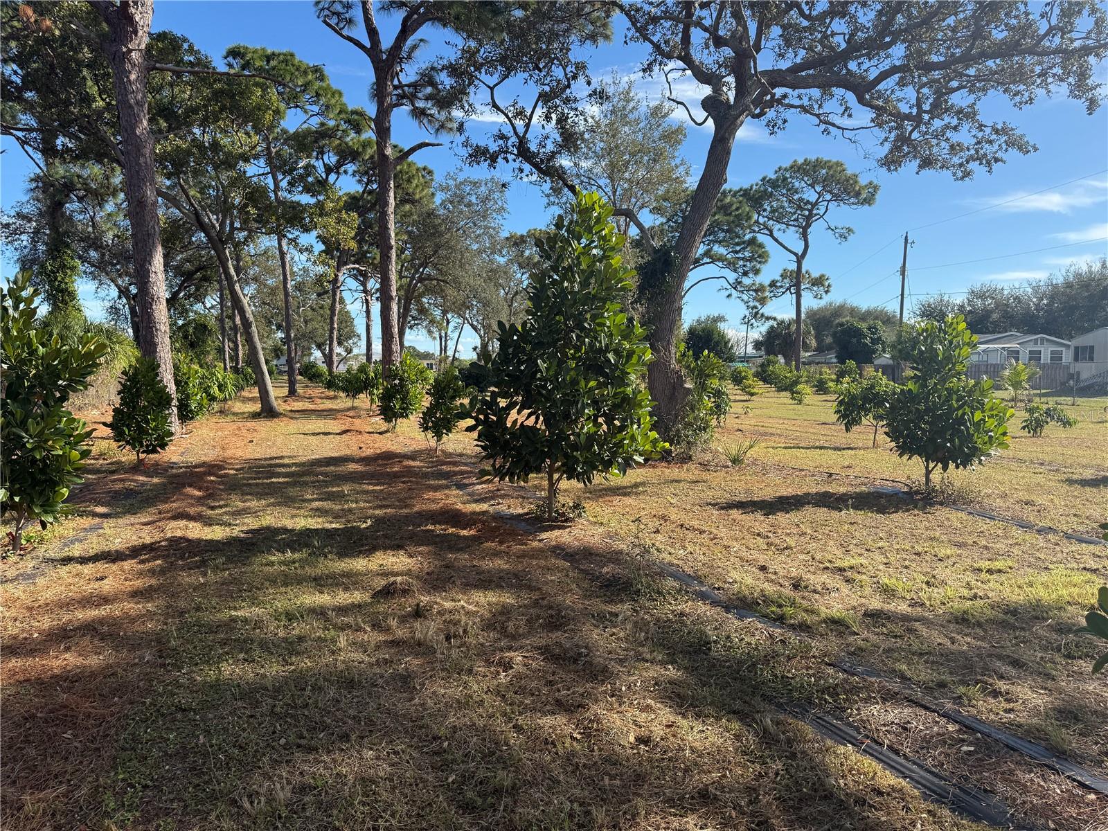 Image 22 of 47 For 4106 Us Highway 1