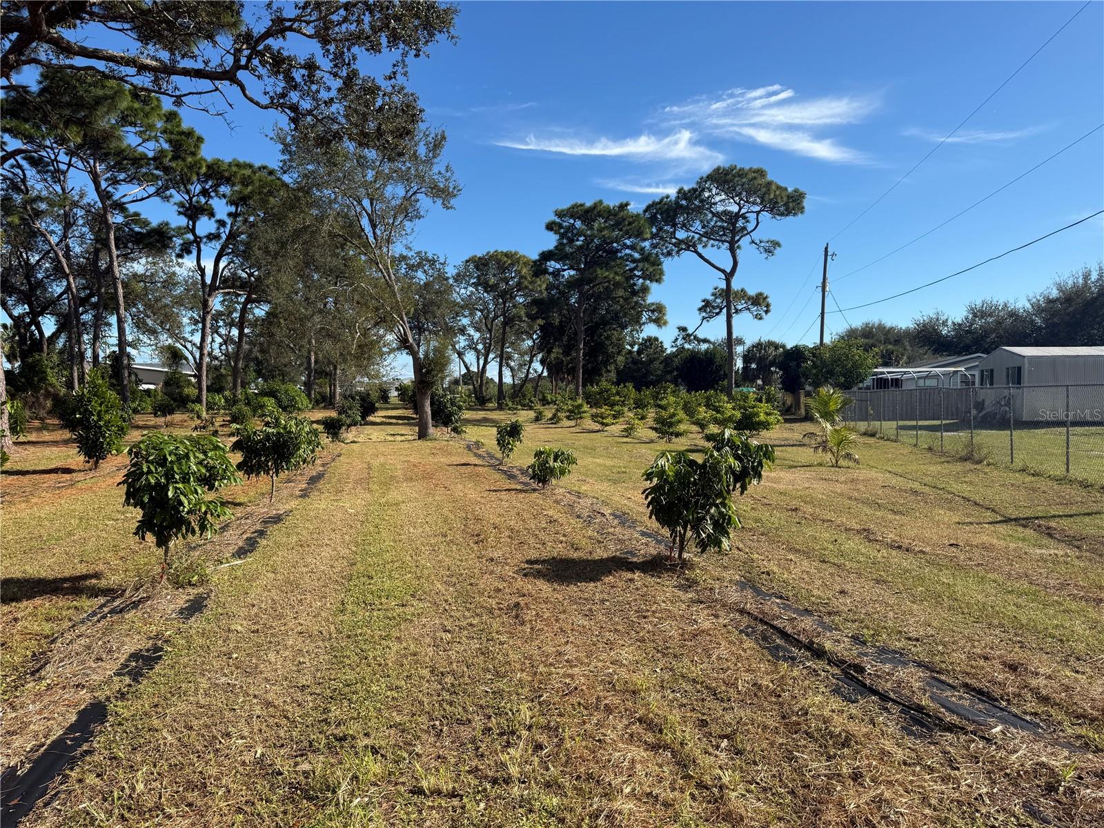 Image 23 of 47 For 4106 Us Highway 1