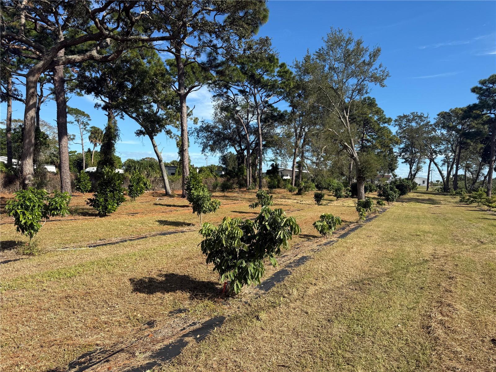 Image 24 of 47 For 4106 Us Highway 1