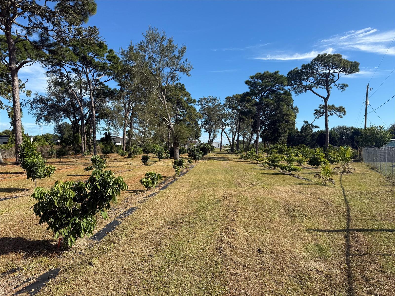 Image 25 of 47 For 4106 Us Highway 1