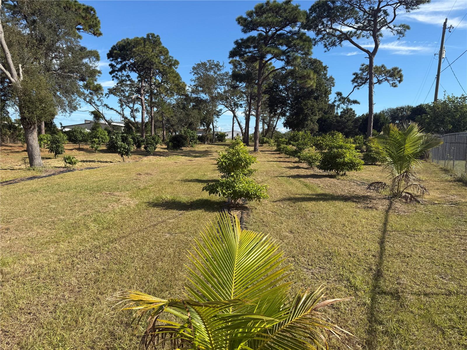 Image 26 of 47 For 4106 Us Highway 1