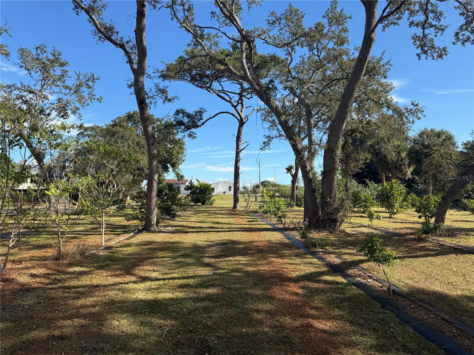 Image 30 of 47 For 4106 Us Highway 1