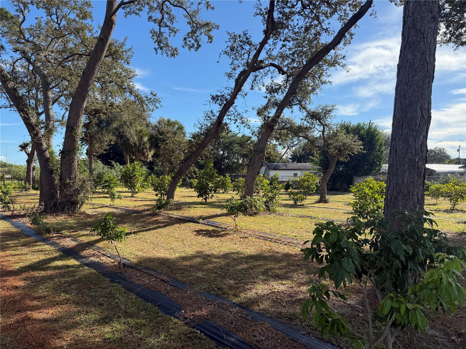 Image 31 of 47 For 4106 Us Highway 1