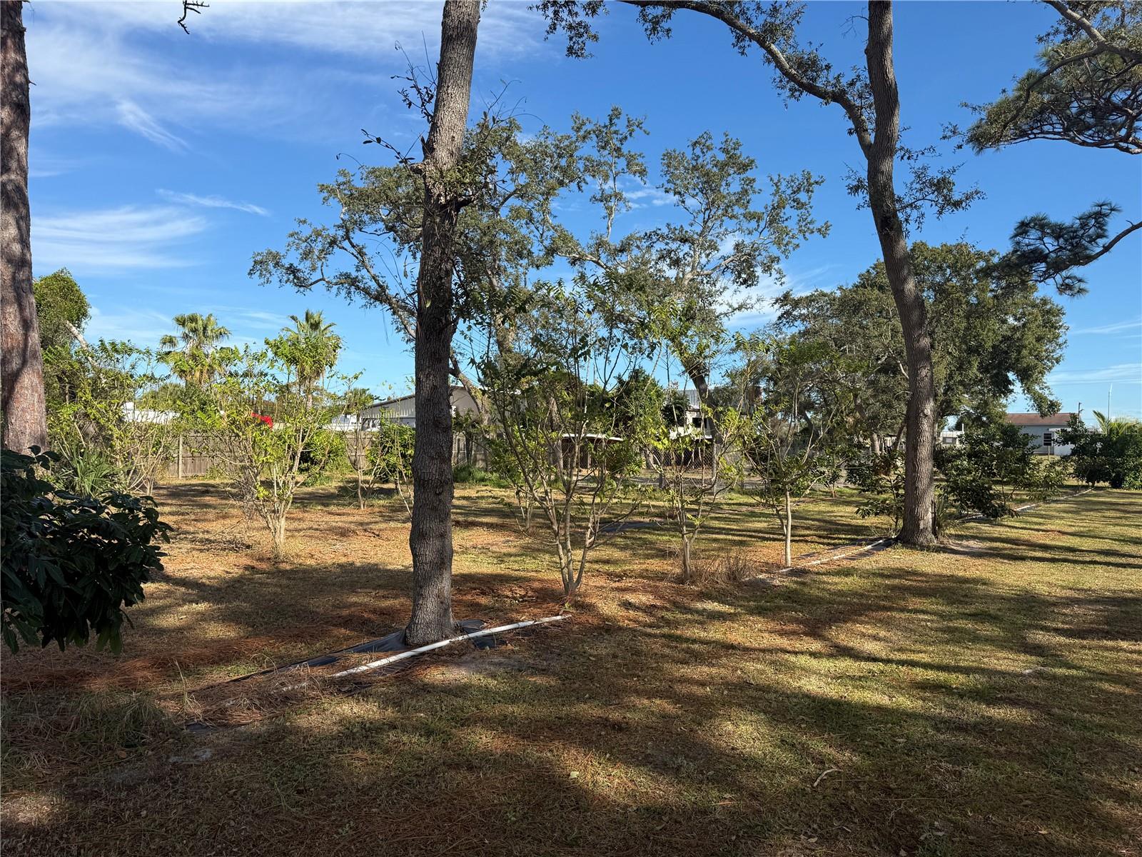 Image 32 of 47 For 4106 Us Highway 1