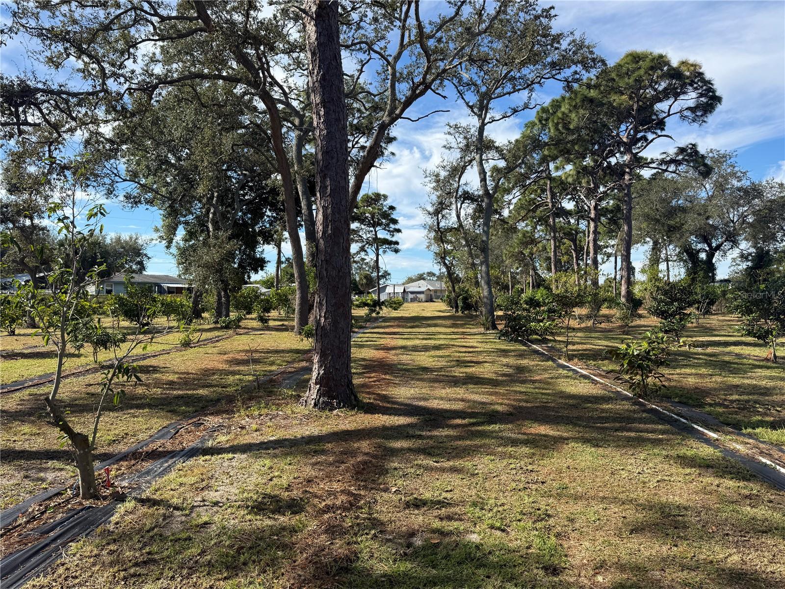 Image 33 of 47 For 4106 Us Highway 1