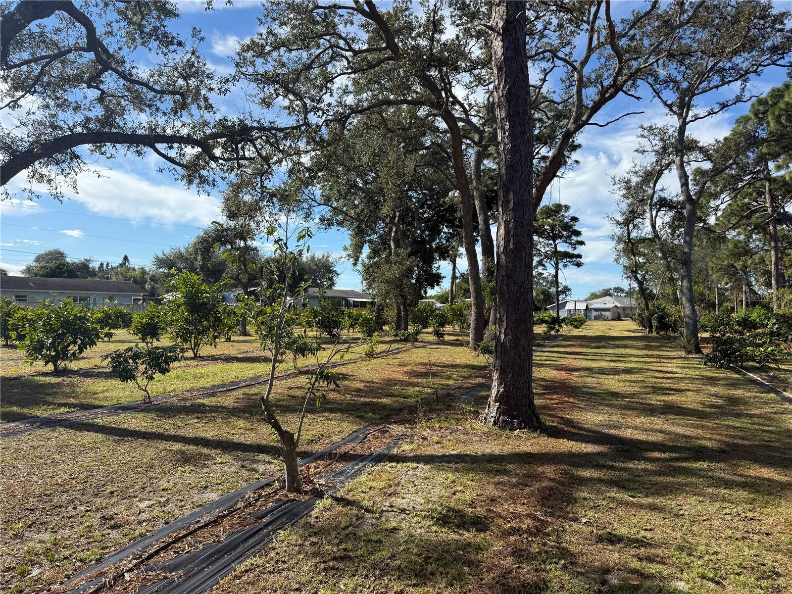 Image 34 of 47 For 4106 Us Highway 1