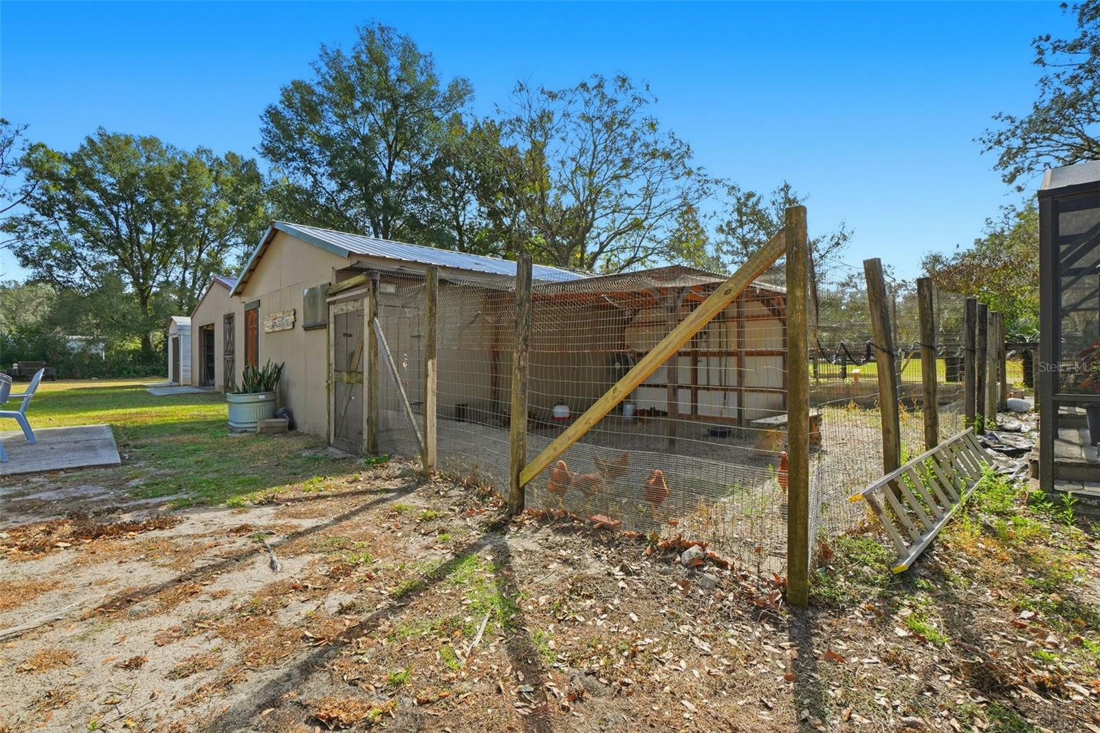 Image 50 of 69 For 31800 Orange Street