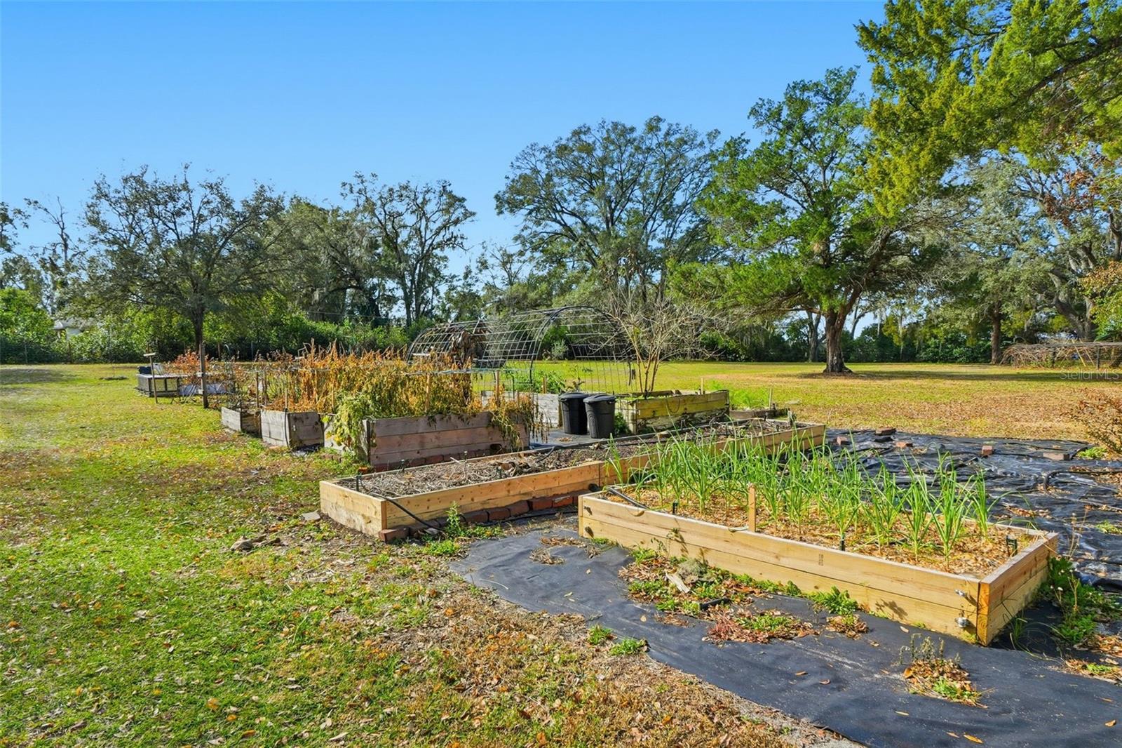 Image 54 of 69 For 31800 Orange Street