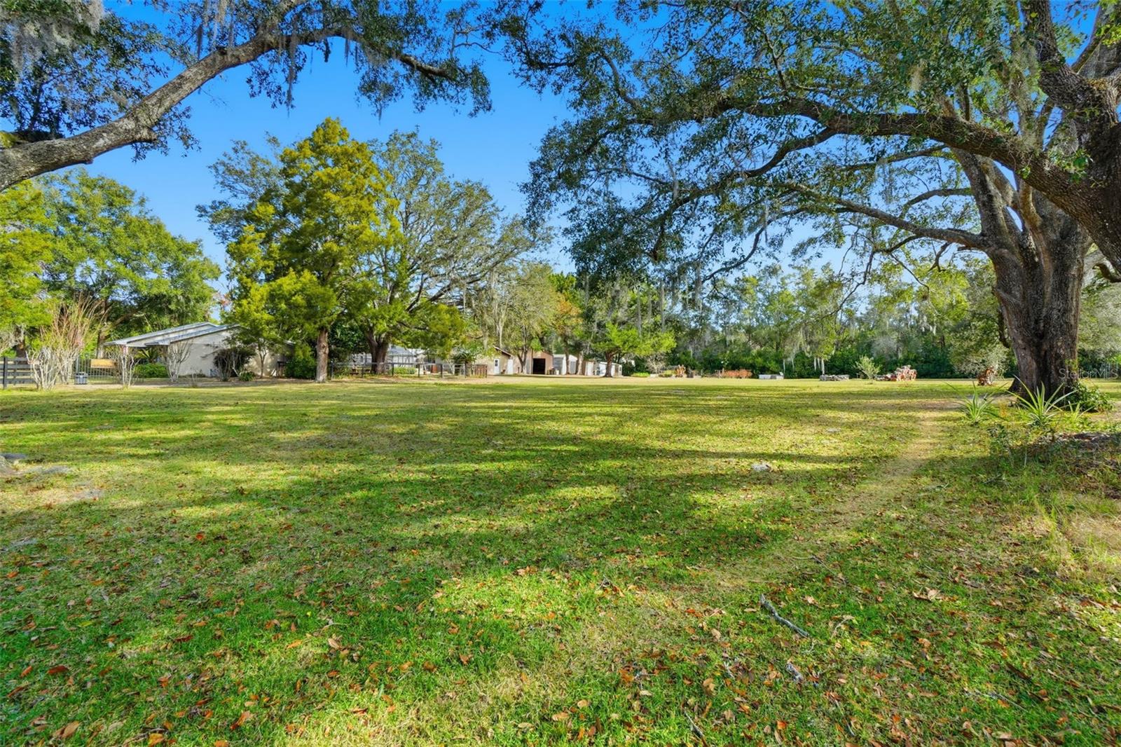 Image 55 of 69 For 31800 Orange Street