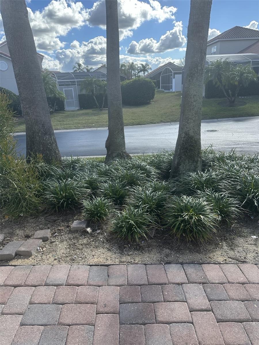 Image 3 of 26 For 609 Brunello Drive