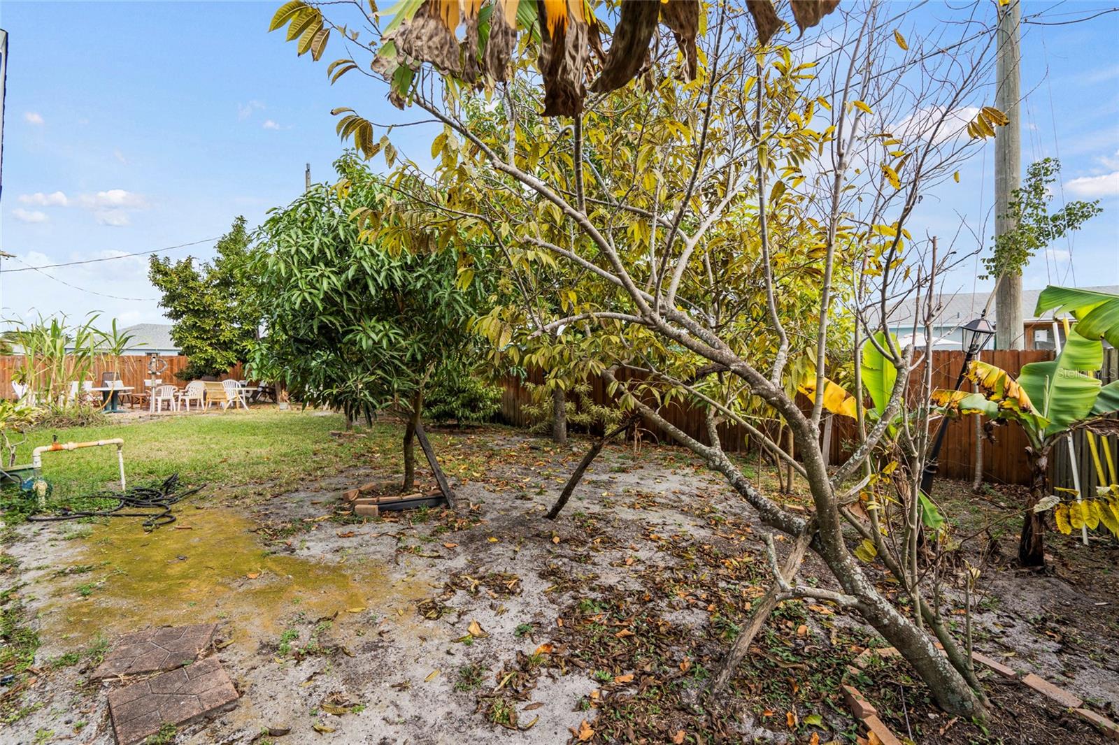 Image 45 of 46 For 4239 Callicoe Street