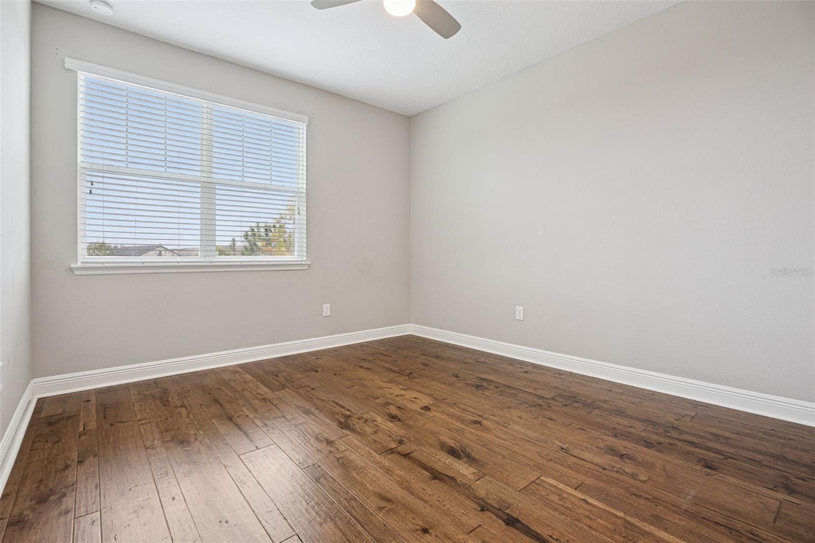 Image 24 of 77 For 2029 White Feather Loop