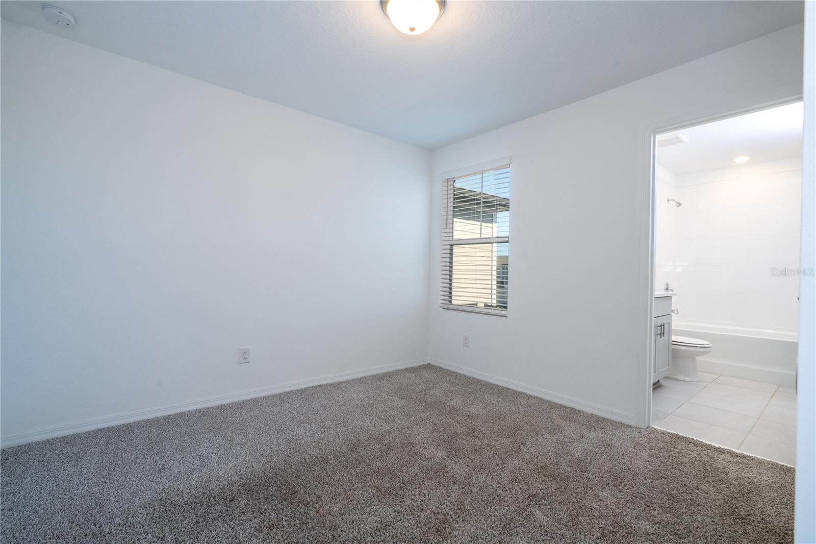 Image 42 of 77 For 4549 Burrowing Owl Loop