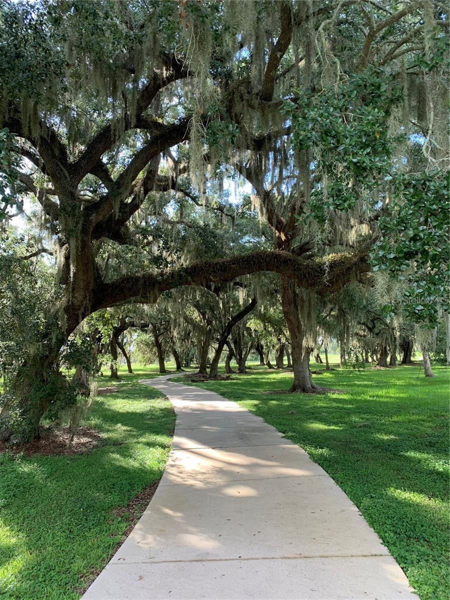 Image 7 of 11 For 3419 Bella Vista Court