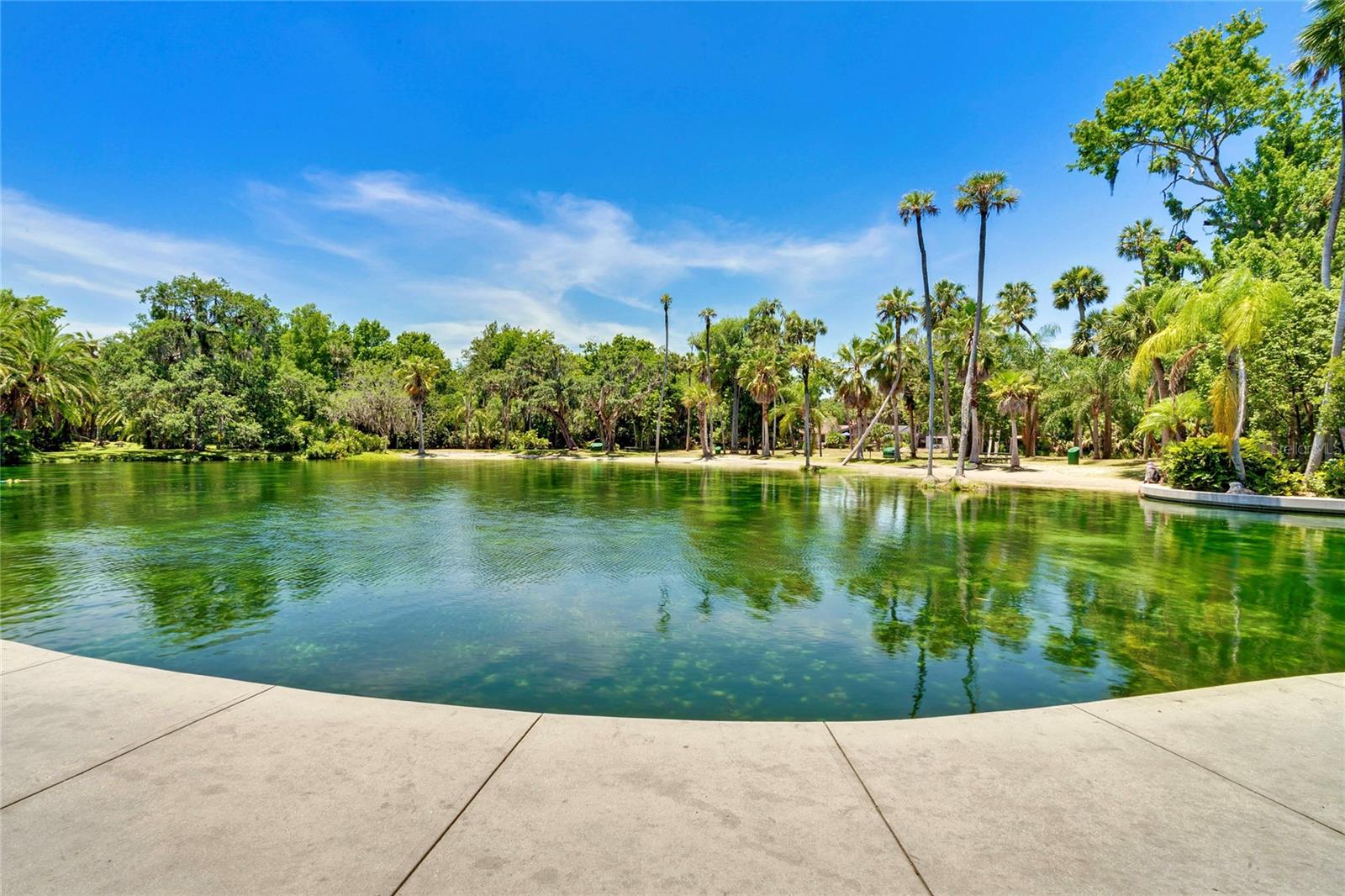 Image 42 of 59 For 200 Weeping Elm Lane