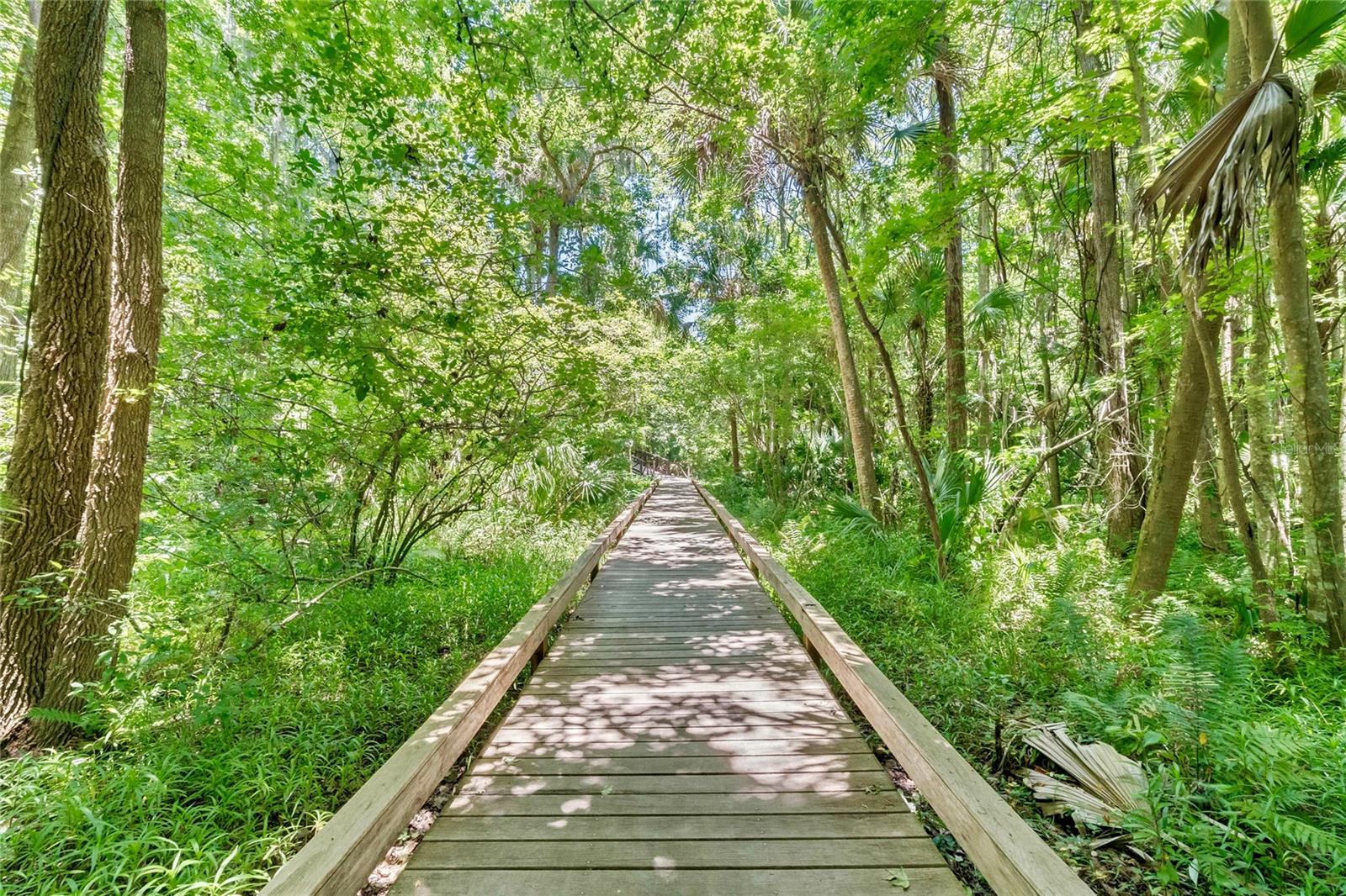 Image 54 of 59 For 200 Weeping Elm Lane
