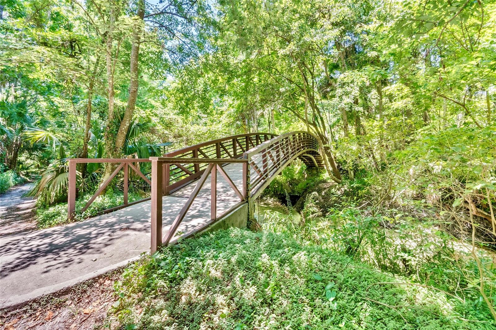 Image 55 of 59 For 200 Weeping Elm Lane