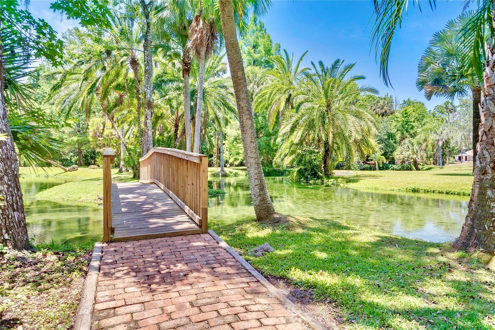 Image 56 of 59 For 200 Weeping Elm Lane