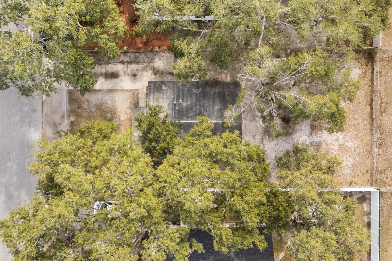 Image 11 of 13 For 809 Talladega Street