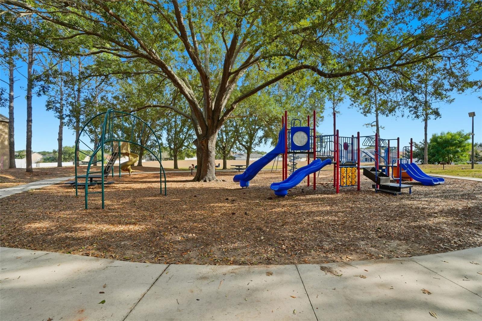 Image 28 of 28 For 244 Pima Trail