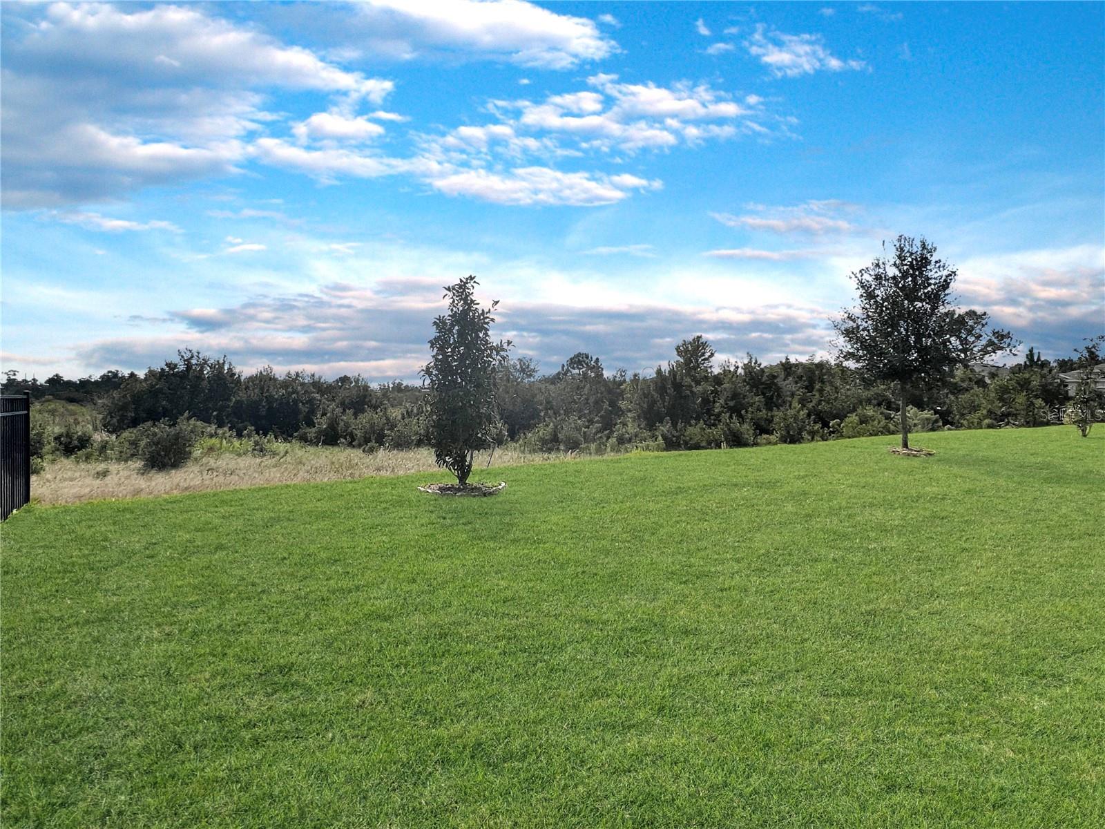 Image 24 of 35 For 2155 Camden Loop