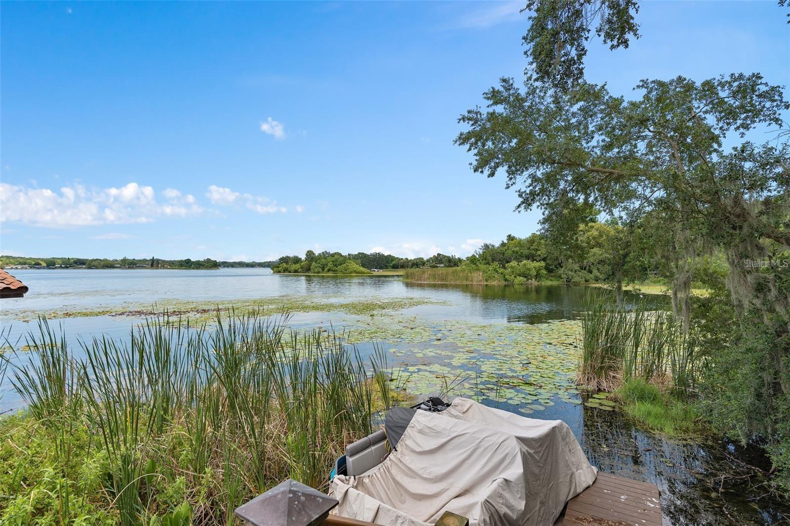 Image 42 of 50 For 4509 Patricia Ann Court