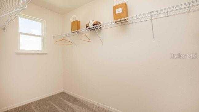 Image 19 of 24 For 3529 Eagles Crossing Way