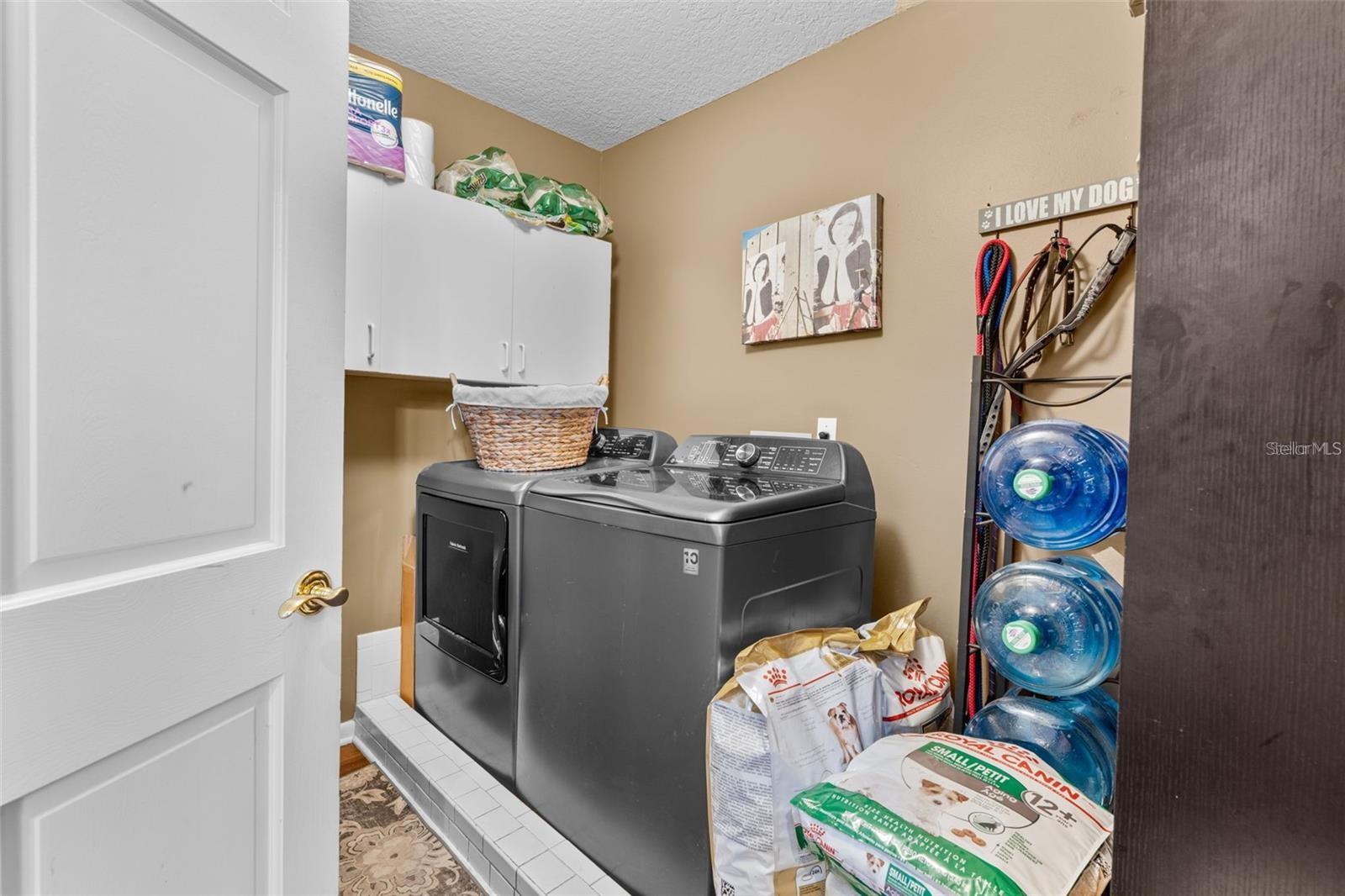 Image 21 of 57 For 126 Palmetto Avenue