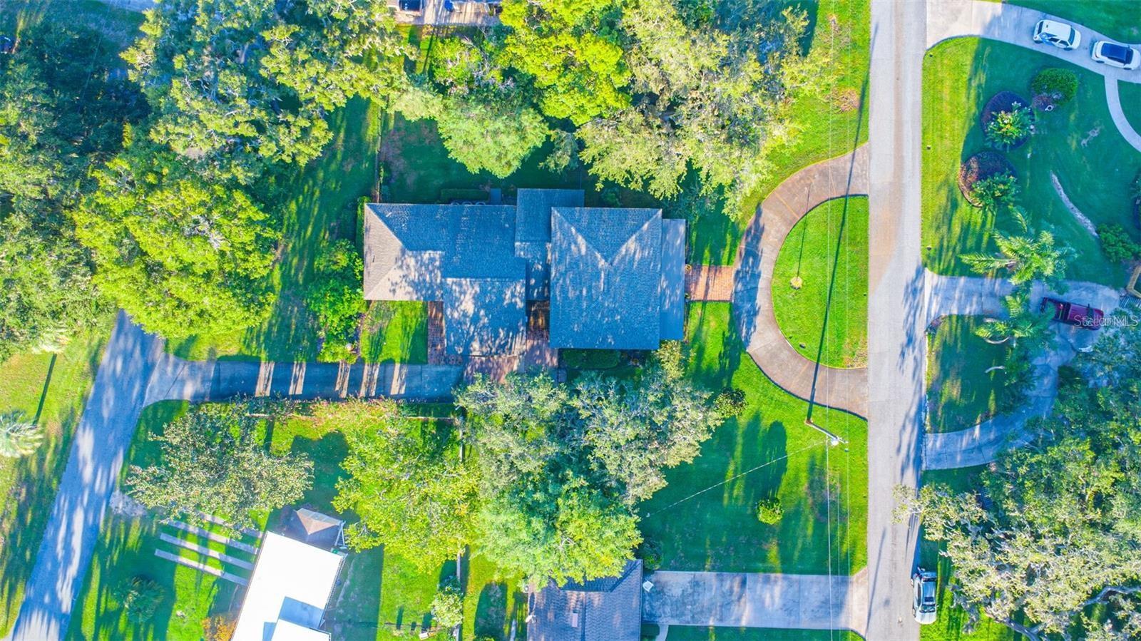 Image 27 of 57 For 126 Palmetto Avenue