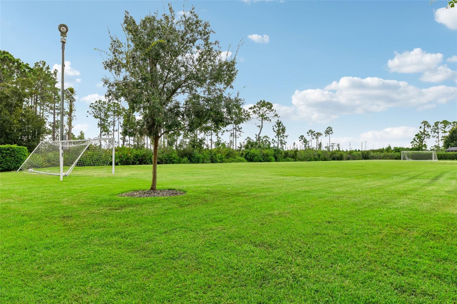 Listing photo id 52 for 2381 Broken Elm Place