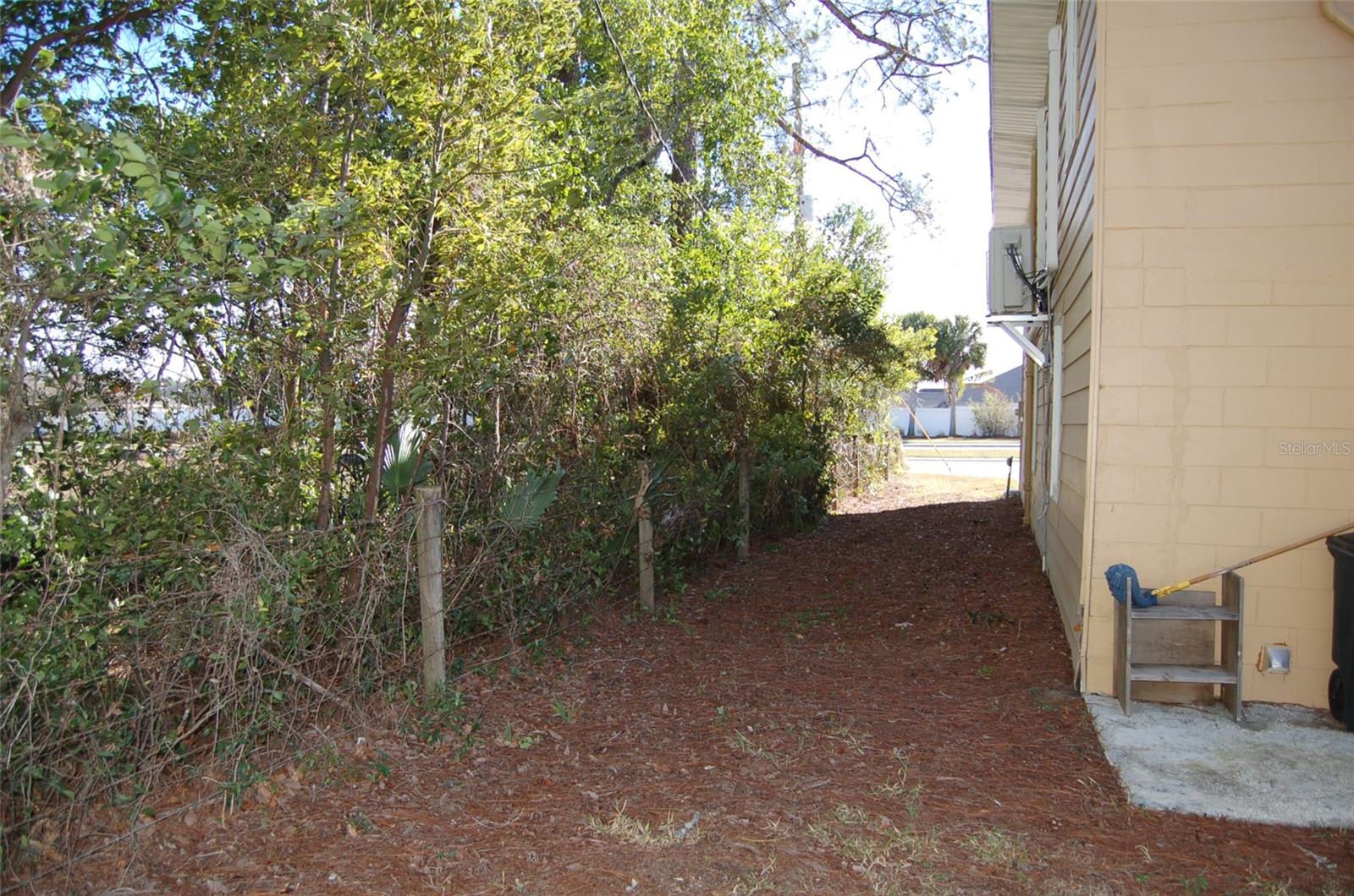 Image 21 of 21 For 223 County Road 466a