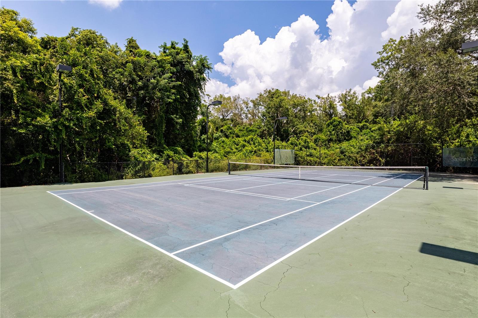 Image 11 of 30 For 1275 Lake Shadow Circle 13107