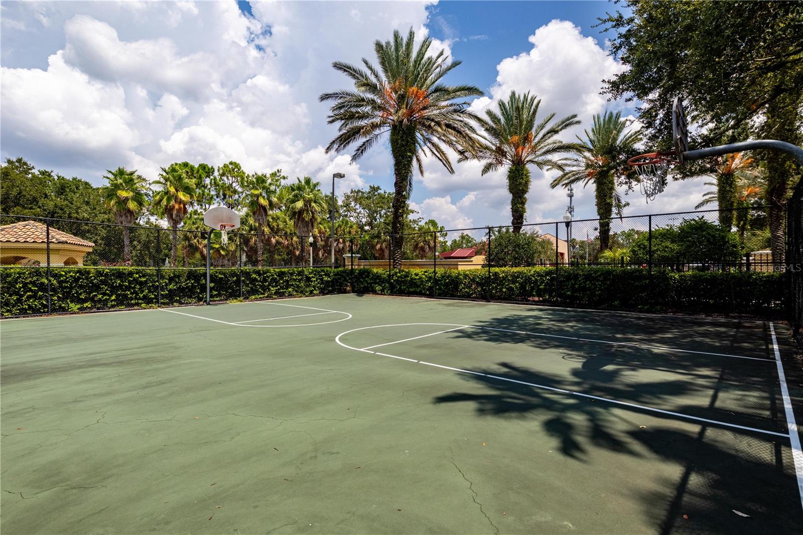 Image 12 of 30 For 1275 Lake Shadow Circle 13107