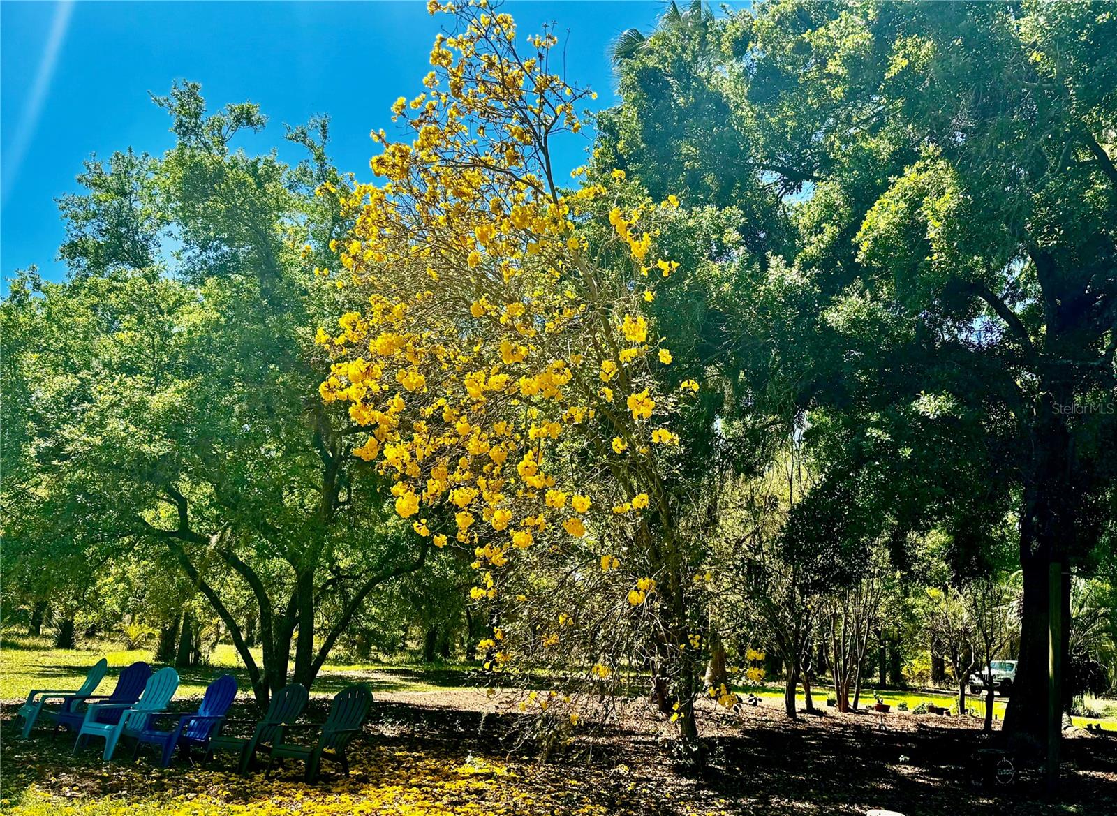 Image 45 of 67 For 6037 Lake Erie Road