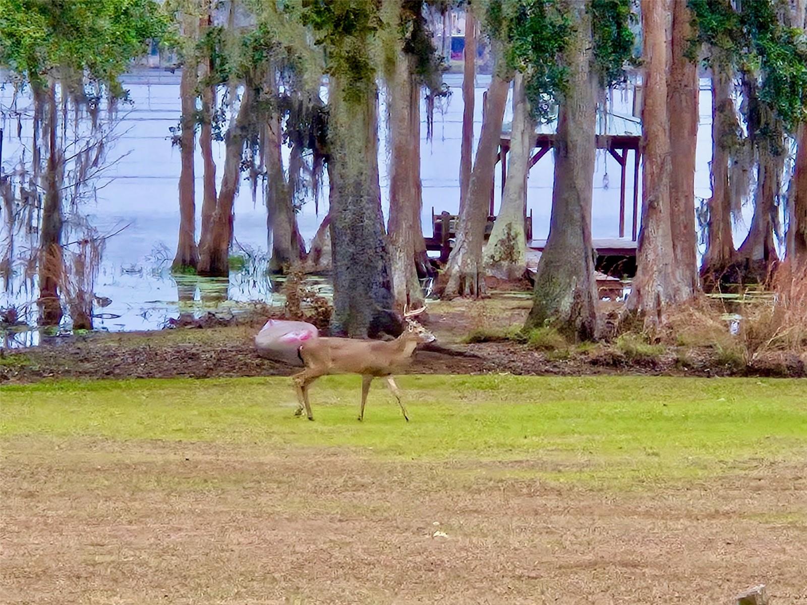 Image 47 of 67 For 6037 Lake Erie Road