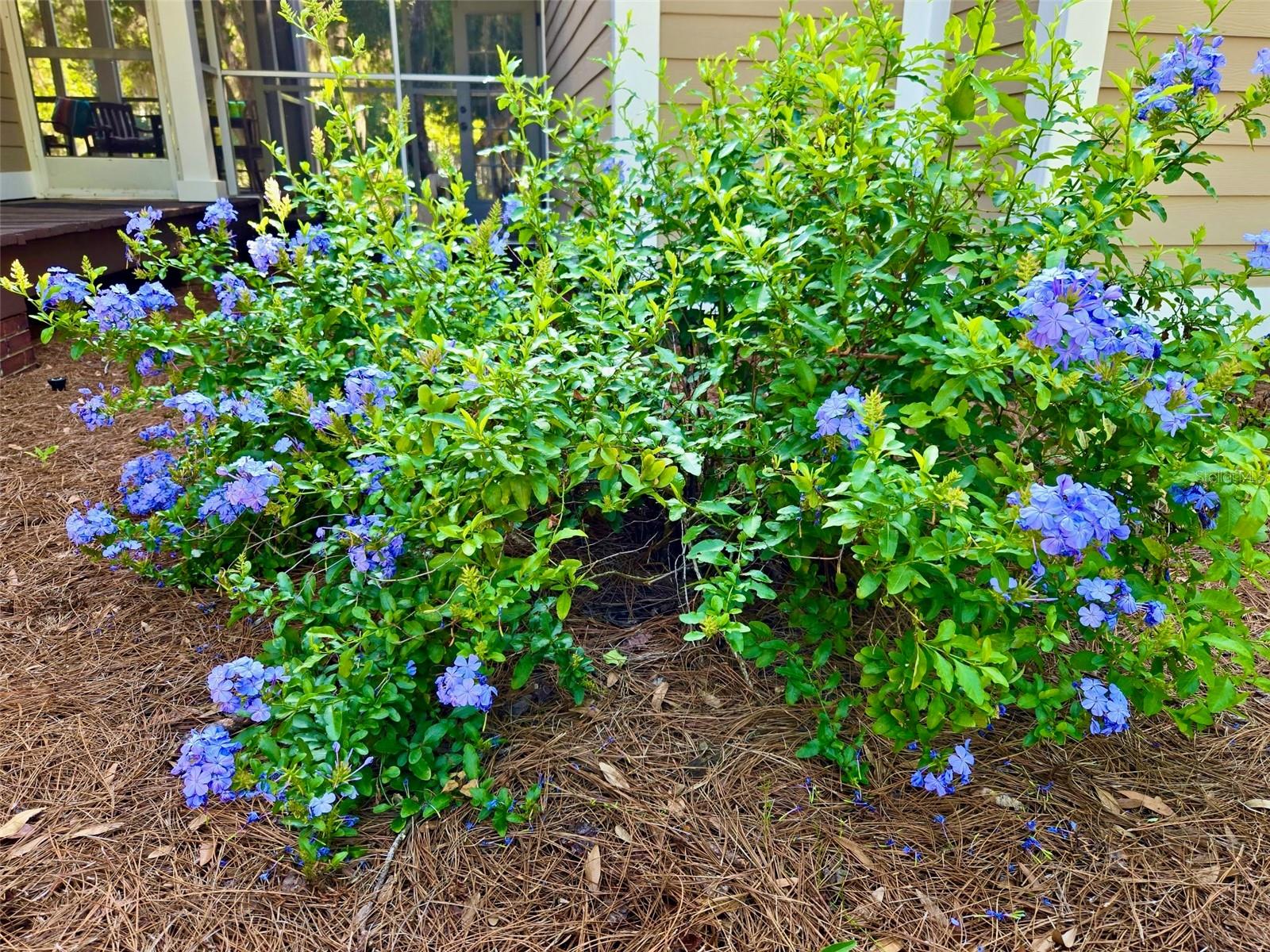 Image 50 of 67 For 6037 Lake Erie Road