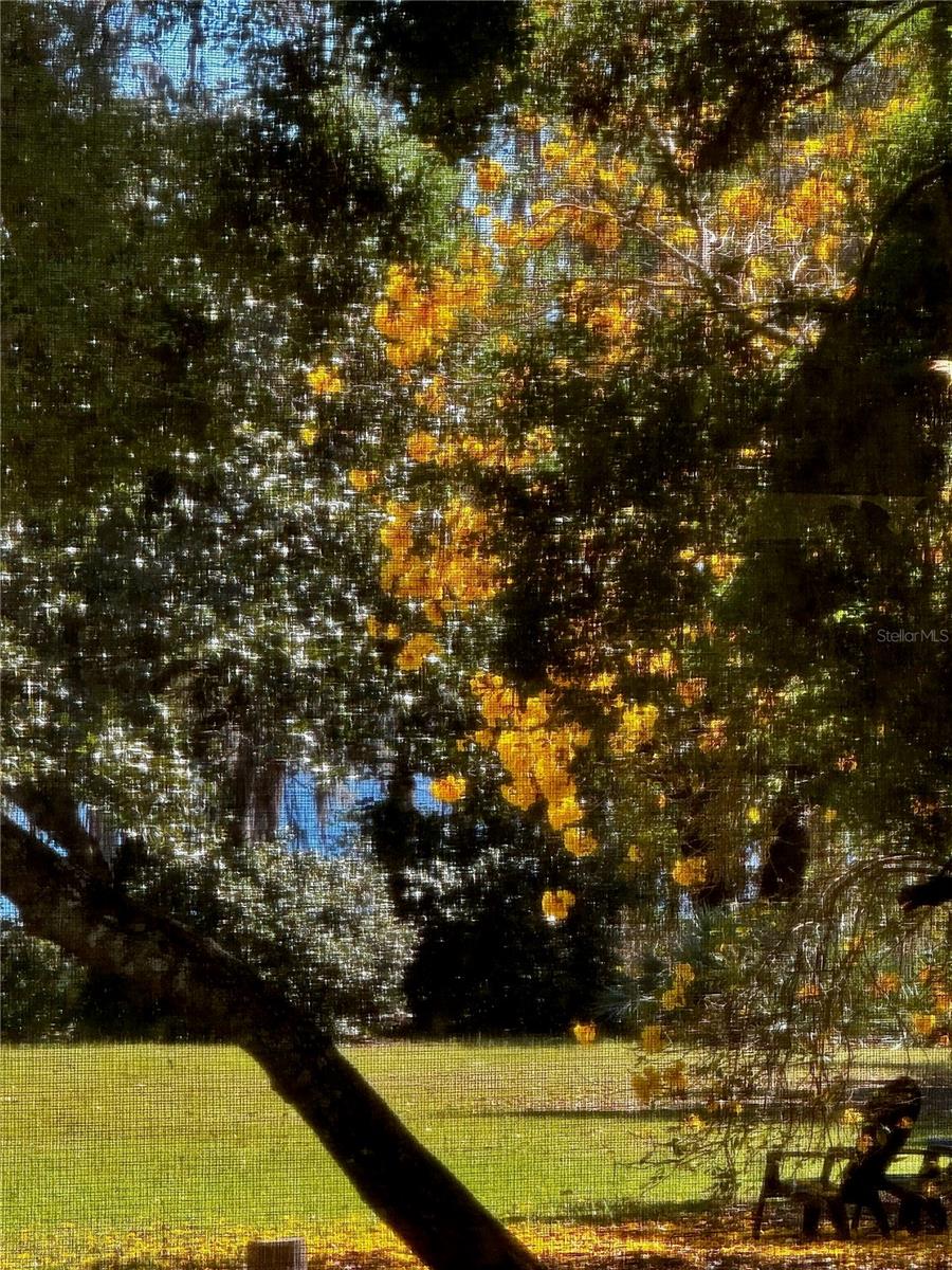 Image 51 of 67 For 6037 Lake Erie Road