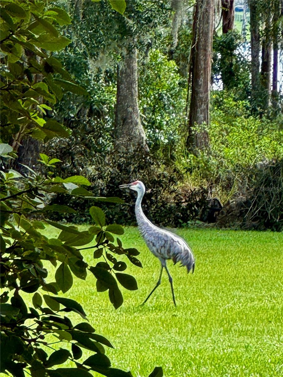 Image 53 of 67 For 6037 Lake Erie Road