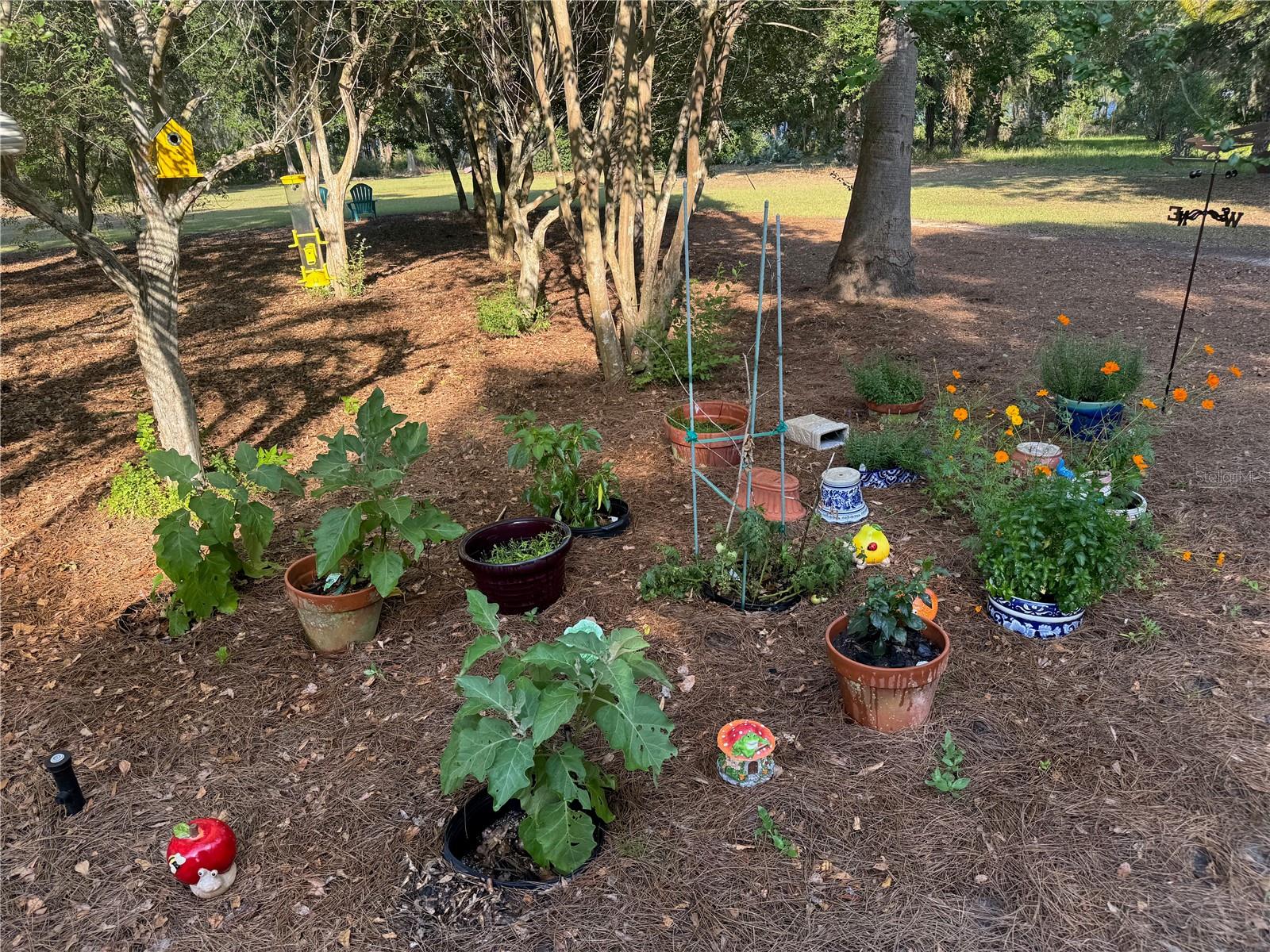 Image 54 of 67 For 6037 Lake Erie Road