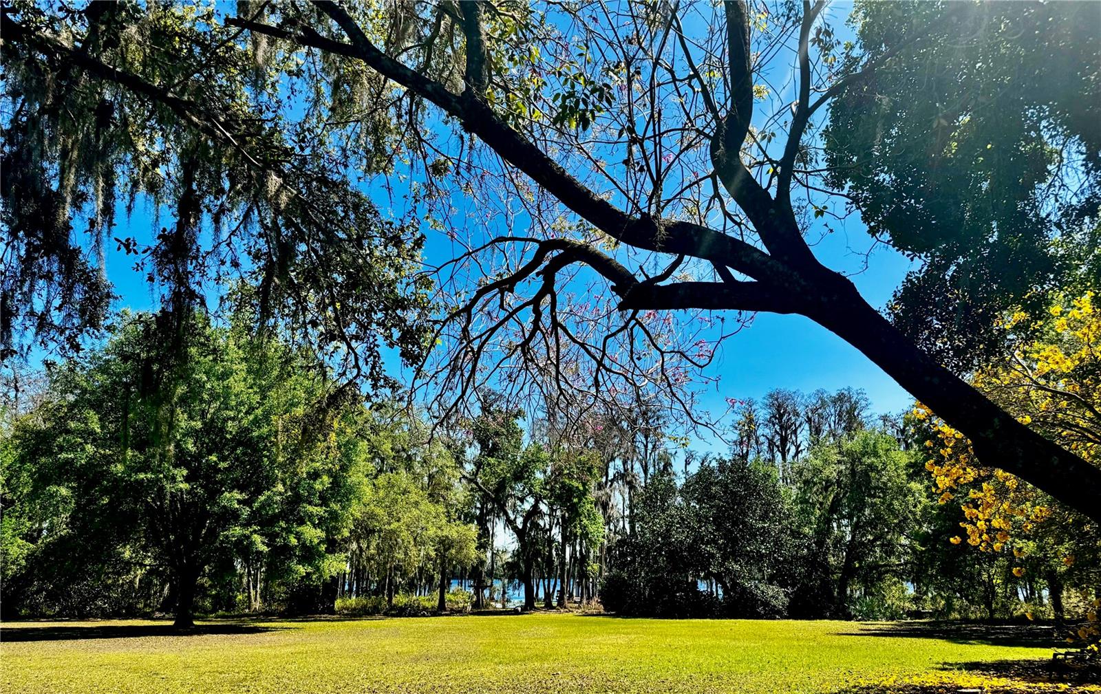 Image 7 of 67 For 6037 Lake Erie Road