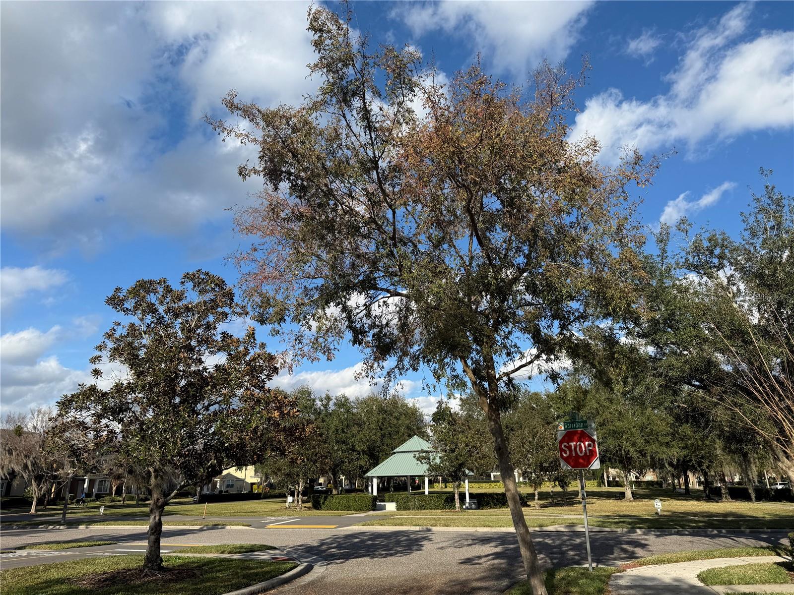 Image 30 of 33 For 7613 Sutherton Lane