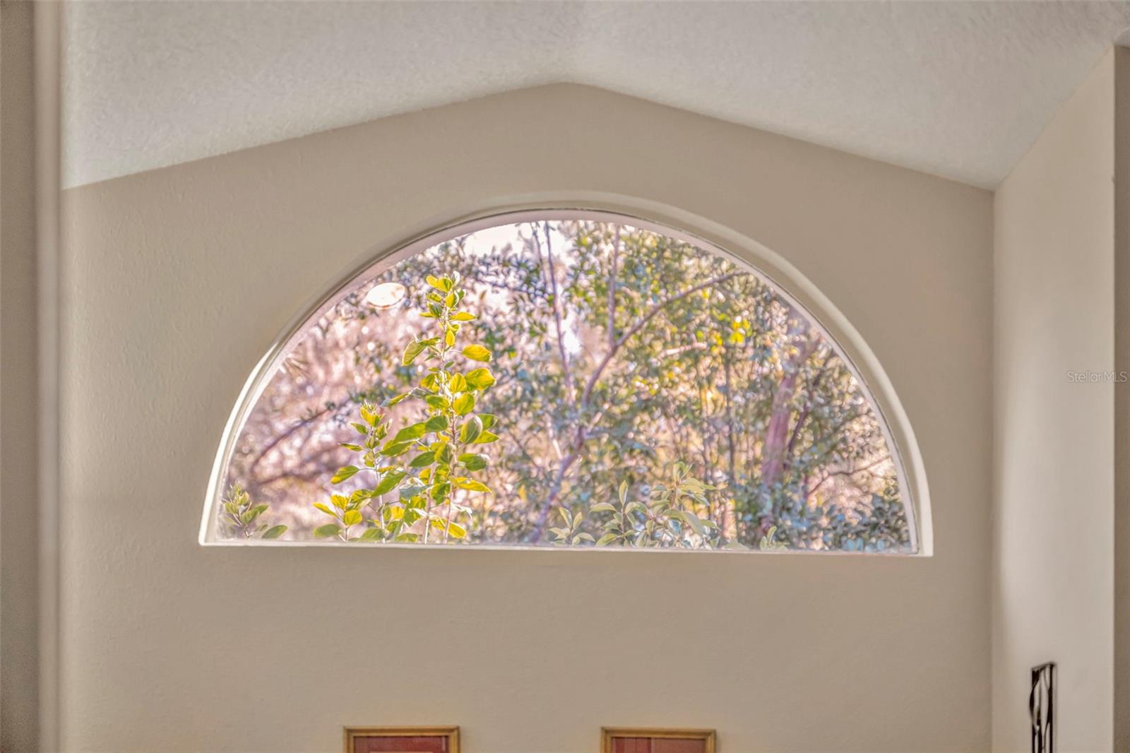 Image 14 of 68 For 3811 Watercrest Drive