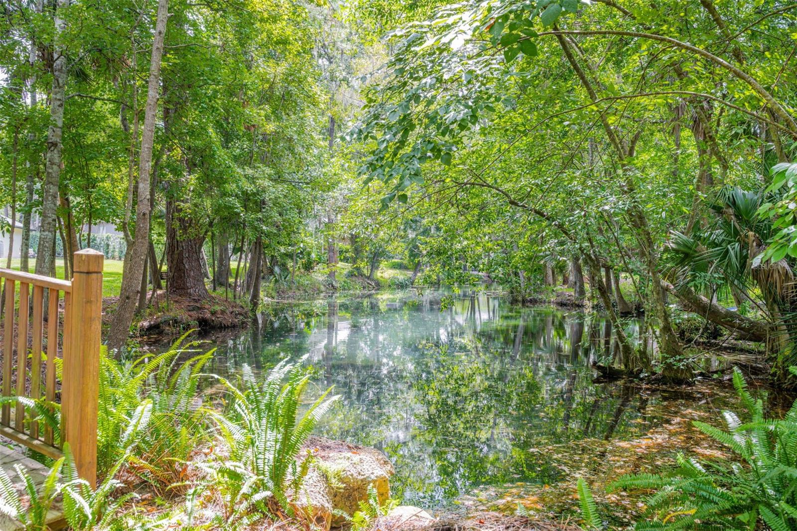 Image 55 of 68 For 3811 Watercrest Drive