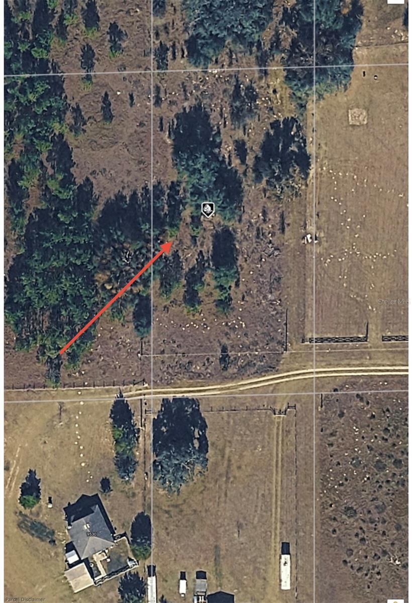 Image 10 of 15 For  101 Street 