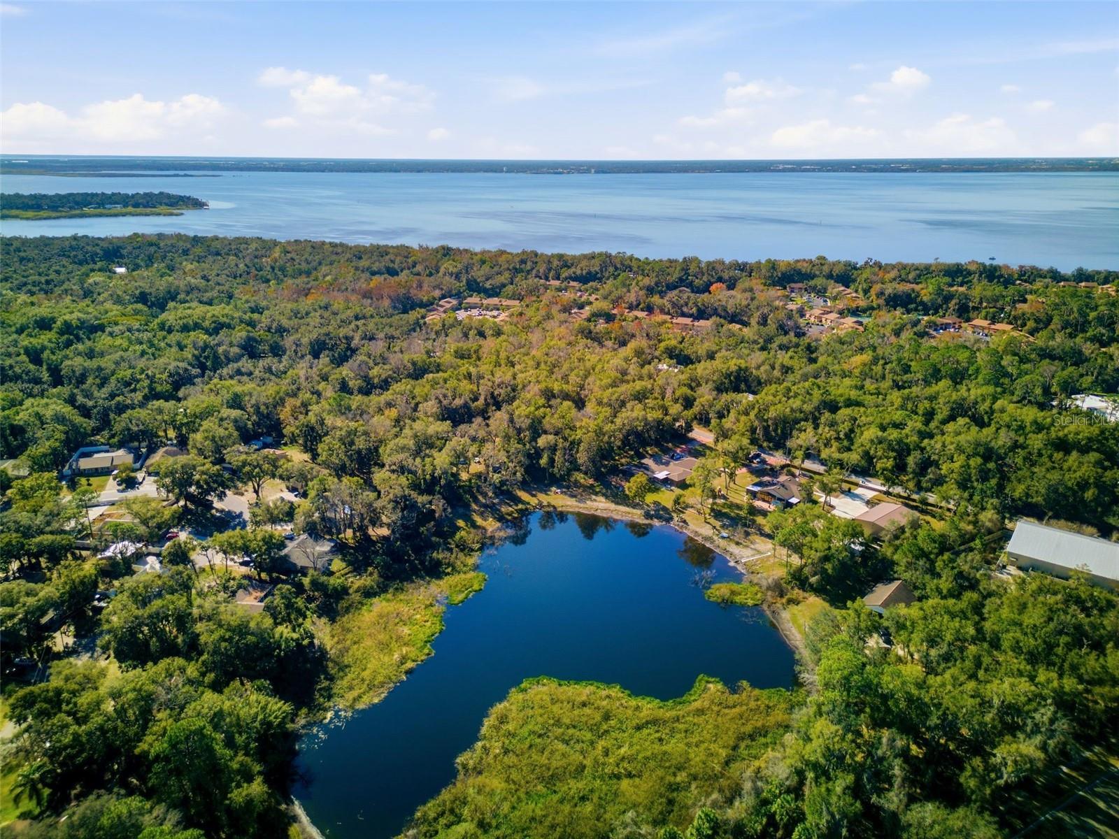 Image 15 of 56 For 885 Braddock Road